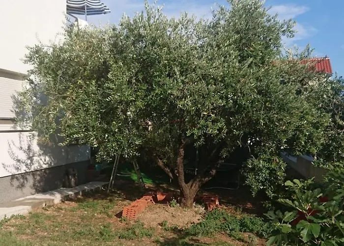 Loungebyana Apartamento Vodice